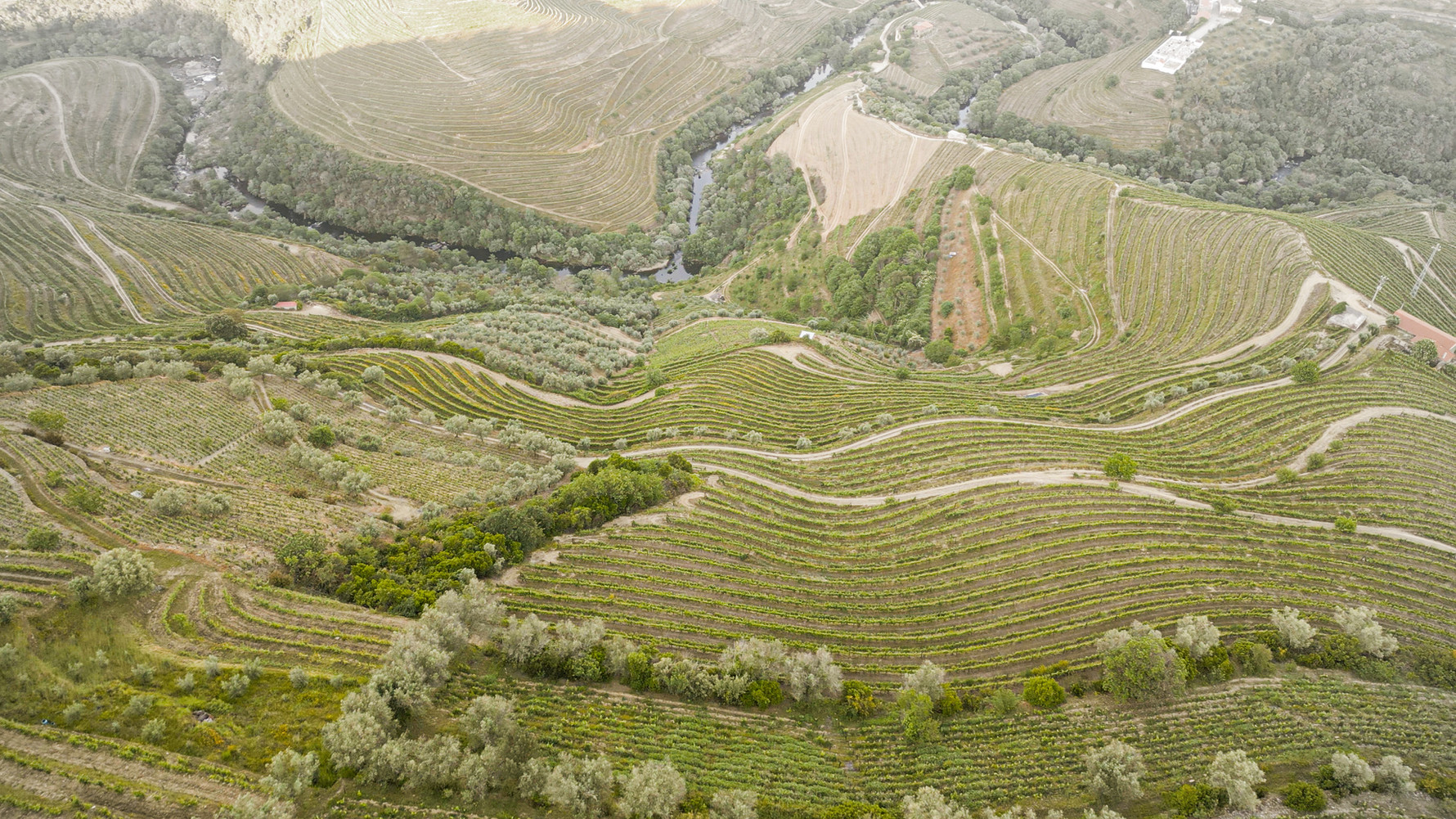 Santa Marta de Penaguião: O Douro começa na Gaivosa.