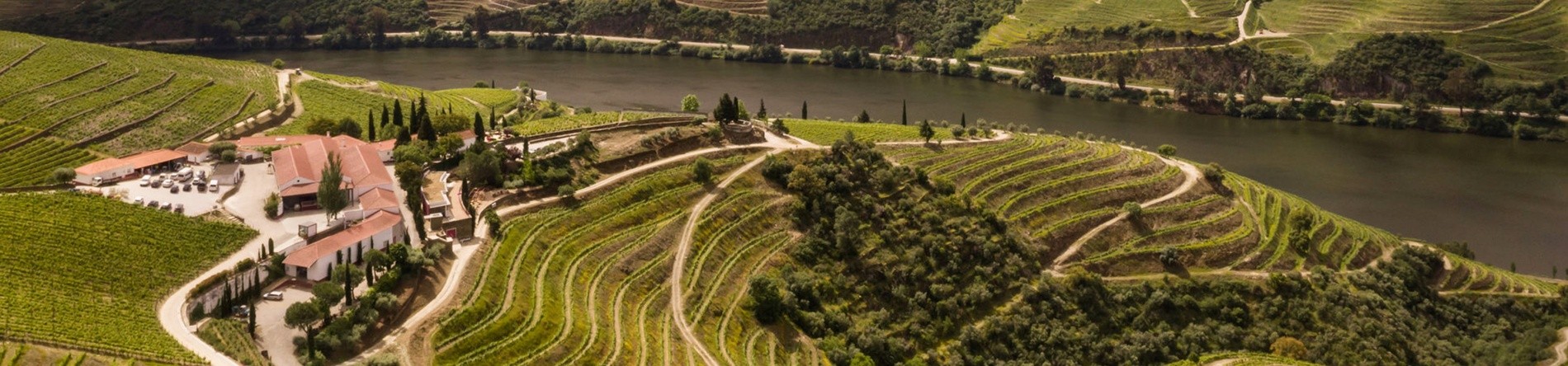 Covas do Douro · Pinhão · Lisboa: Quinta Nova, Bomfim e o caminho de volta.