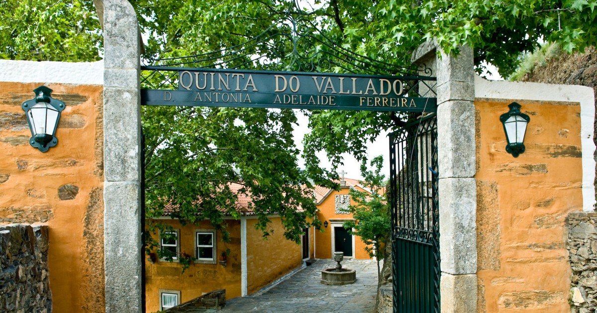Vinhas e arquitetura da Quinta do Vallado, uma das casas que nos recebem no Douro